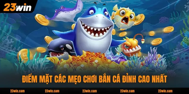 Mẹo Chơi Bắn Cá - Phương Pháp Săn Thưởng Đạt Hiệu Quả 98% 3 Điểm mặt các mẹo chơi bắn cá đỉnh cao nhất