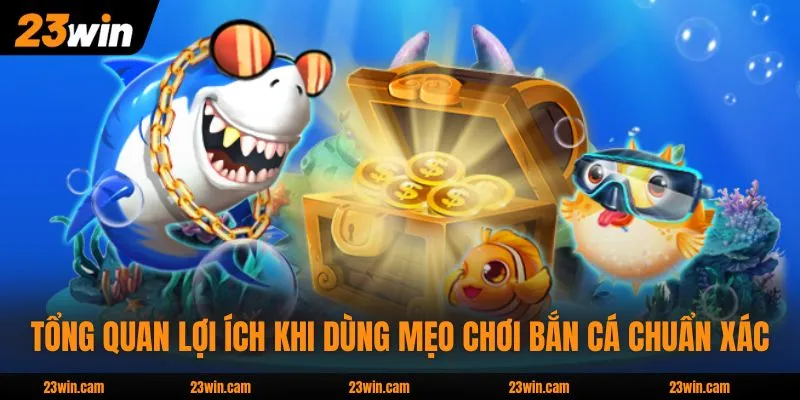 Mẹo Chơi Bắn Cá - Phương Pháp Săn Thưởng Đạt Hiệu Quả 98% 2 Tổng quan lợi ích khi dùng mẹo chơi bắn cá chuẩn xác